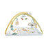 Fisher Price Simply Senses Newborn Gym